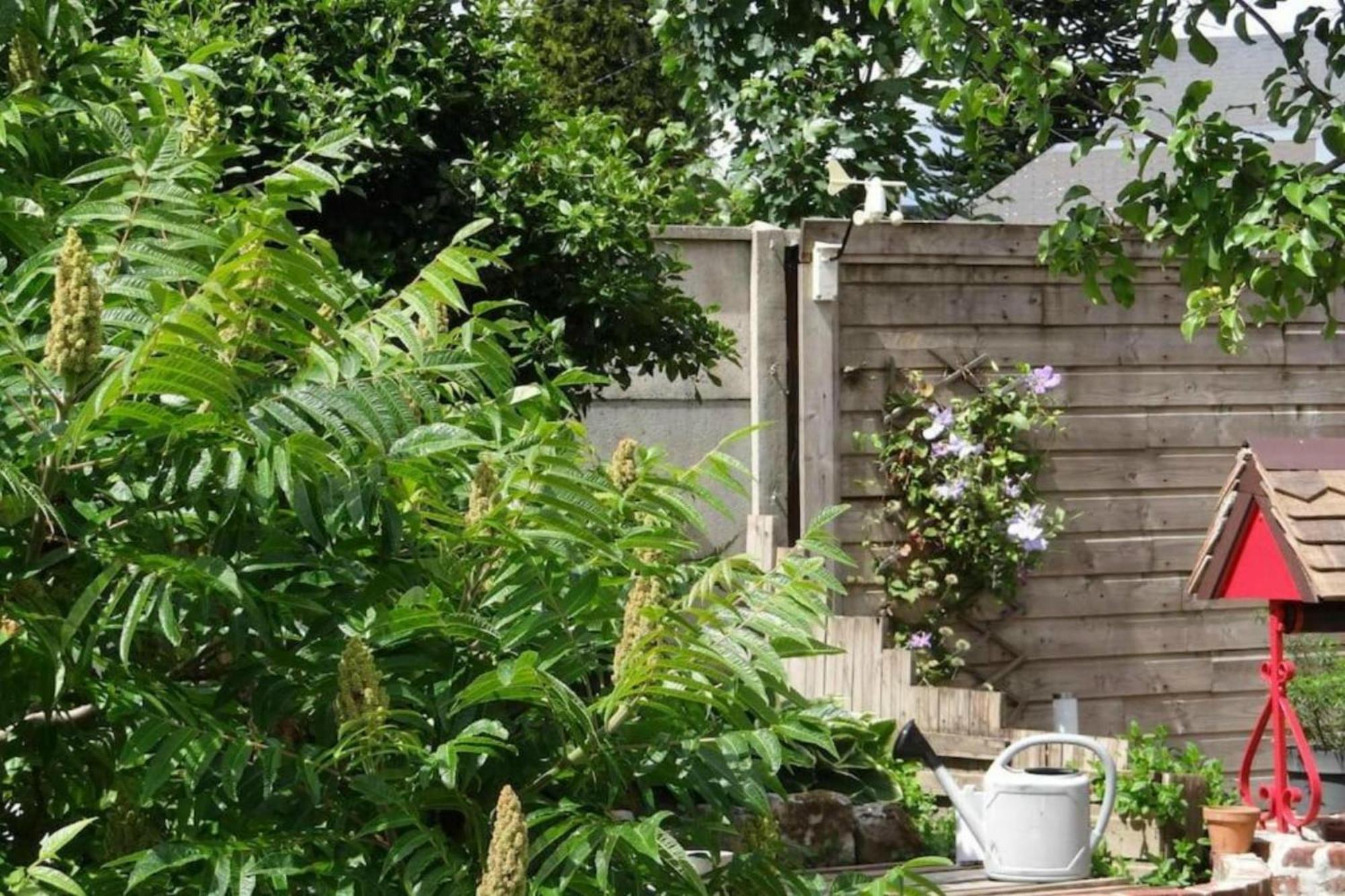איבטו Clos Des Paquerettes : Maison Avec Jardin Privatif מראה חיצוני תמונה